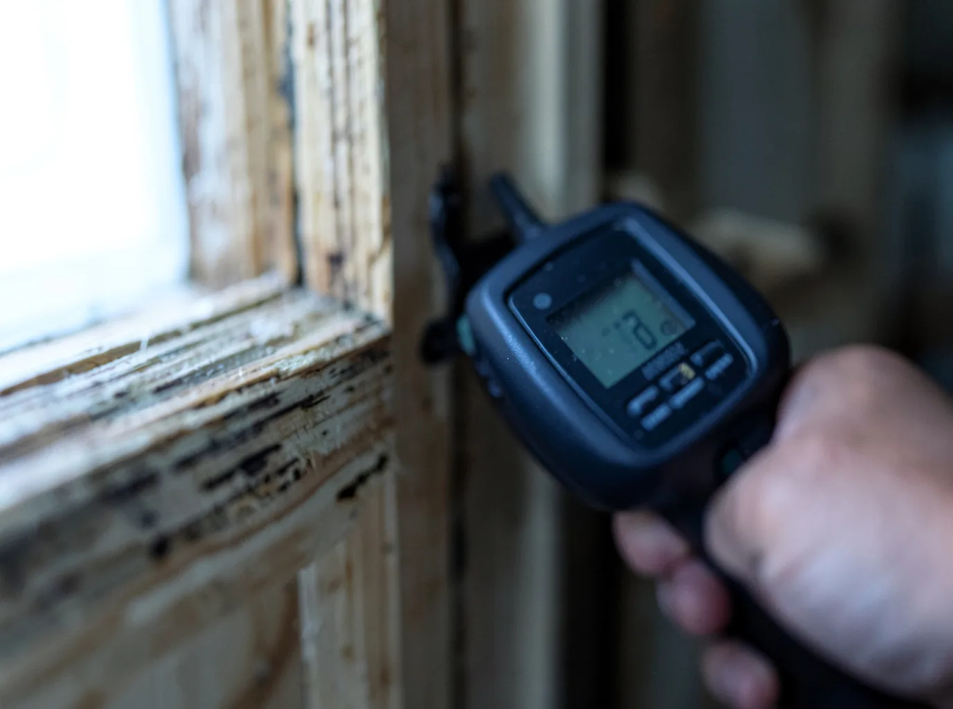 Ceiling Water Damage Repair in Samburg, TN